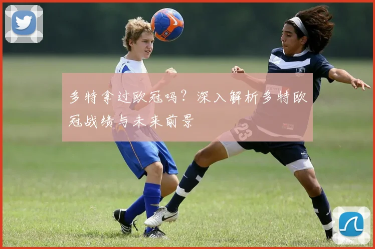 多特拿过欧冠吗？深入解析多特欧冠战绩与未来前景